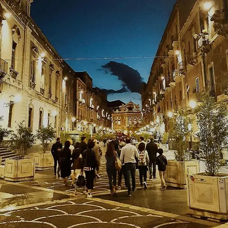 Bellini Luxury