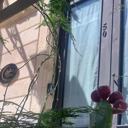 شقة Bellini Luxury كاتانيا